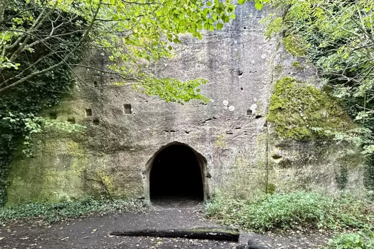 Wenig übrig, dafür urig: Burgruine Neukastel.