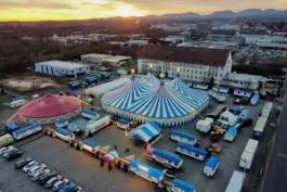 Ab dem 19. Dezember schlägt der Weihnachtscircus wieder seine Zelte auf. 