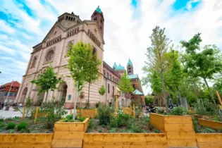 Klimaoase am Dom: Trübt die den Blick aufs Welterbe?