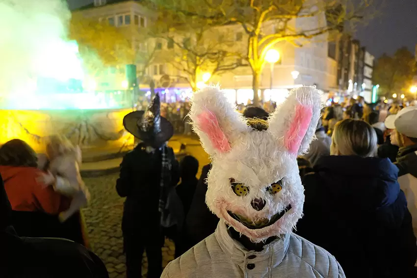 Ein weißer Horror-Hase auf dem Hallplatz.