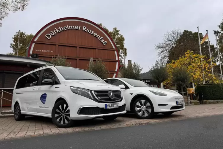 Ein Mercedes-EQV und ein Tesla: Ab Montag können Nutzer des App-basierten Fahrdienstes Mobility on Demand auch vor dem Bad Dürkh