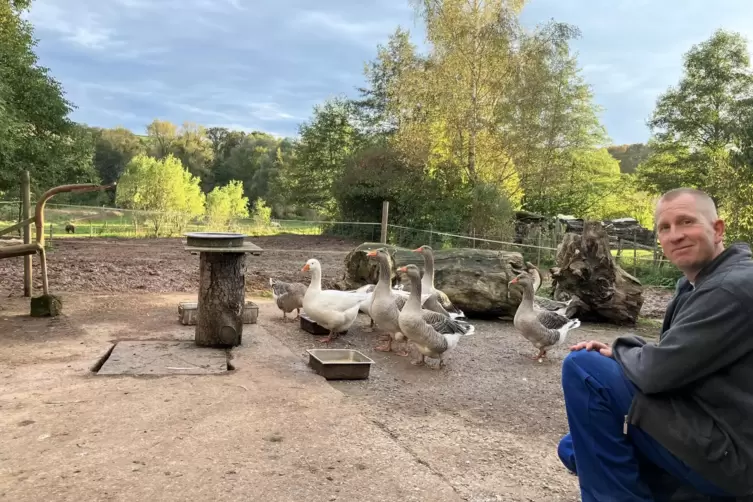 Christoph Bremer soll seine Gänse und einen Pfau von seinem Hof wegschaffen, weil sich eine Nachbarin bei der Kreisverwaltung üb