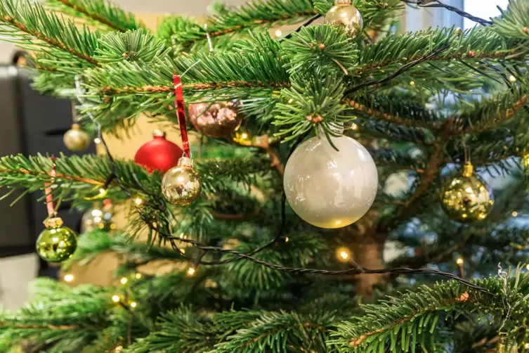 Der Kinderschutzbund hängt die ausgefüllten Wunschzettel der Kinder an Weihnachtsbäume. 