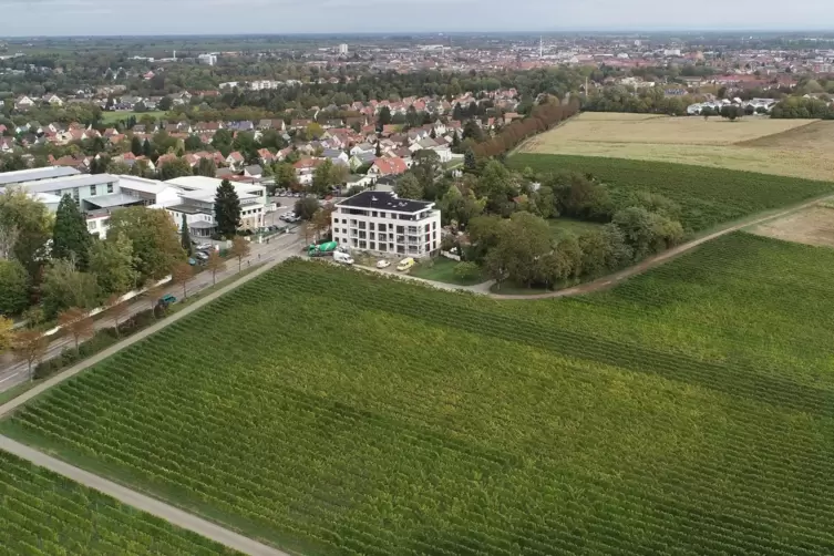 Noch der Landwirtschaft vorbehalten, aber in wenigen Jahren bebaut: Der neue Stadtteil entsteht südlich der Wollmesheimer Höhe.