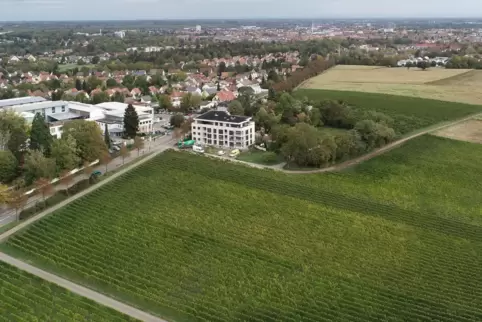 Noch der Landwirtschaft vorbehalten, aber in wenigen Jahren bebaut: Der neue Stadtteil entsteht südlich der Wollmesheimer Höhe.