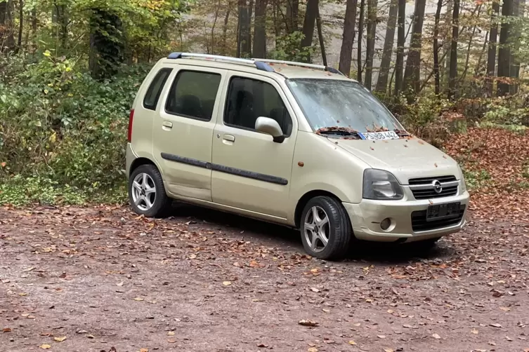 Mitunter wird der Parkplatz am Trimm-dich-Pfad als Schuttabladeplatz genutzt, aktuell gerade als Schrottplatz. 