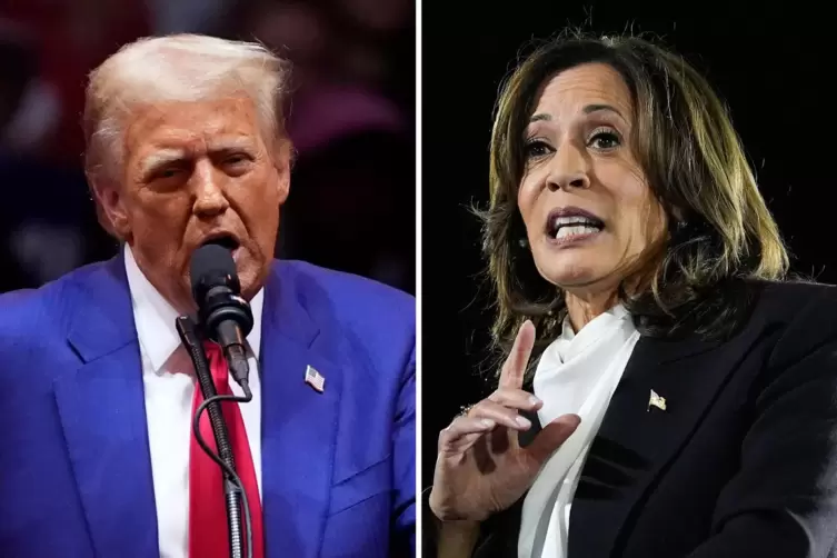 Donald Trump oder Kamala Harris : wer gewinnt die US-Präsidentschaftswahl 2024?