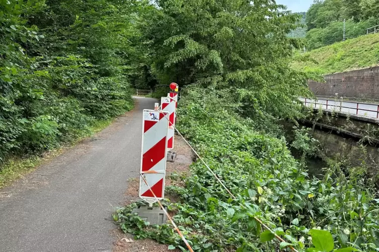 Gefährlich: die abgerutschte Böschung auf dem Radweg zwischen Neustadt und Lambrecht. 