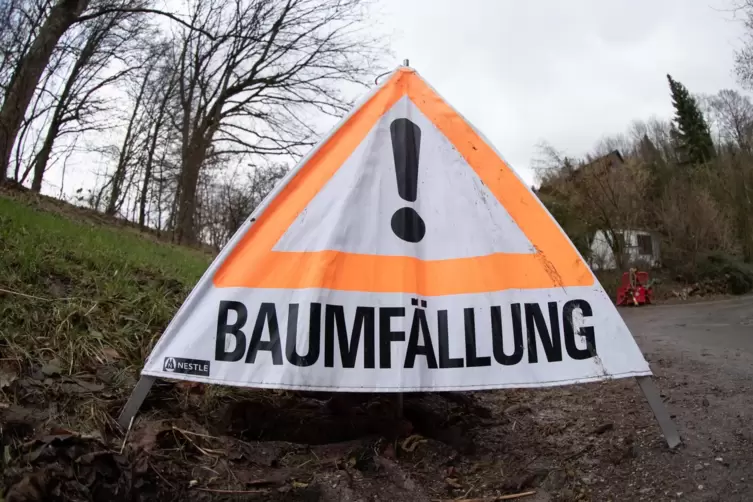 Am Limburgberg müssen Kontrollen und Maßnahmen zur Hangsicherung durchgeführt werden. 