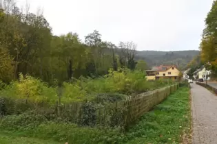 Das Gelände der früheren Türrahmenfabrik Buchert liegt seit Jahrzehnten brach und teilt Hardenburg. Jetzt soll es erschlossen we