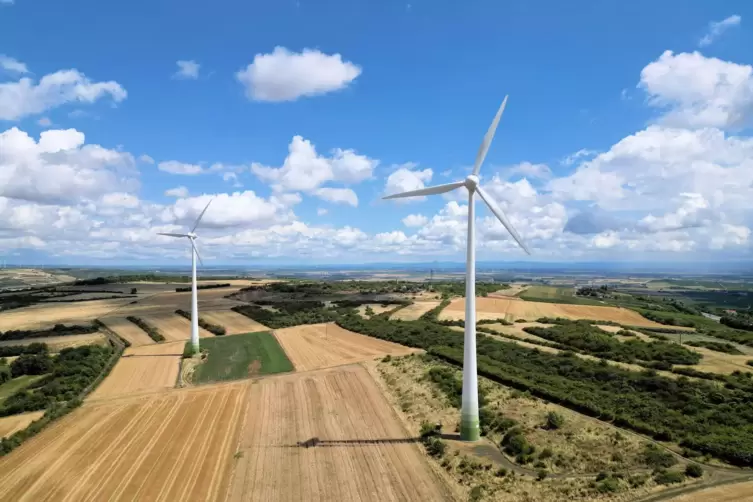 Der Klimastammtisch hätte gerne mehr davon: Windräder auf dem Grünstadter Berg. 