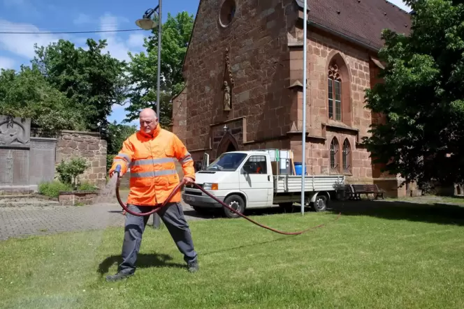 Ameisenbekämpfer Christian Weiller bringt Nematoden im Bereich der katholischen Kirche in Burrweiler aus. Ameisenbekämpfer Christian Weiller bringt Nematoden im Bereich der katholischen Kirche in Burrweiler aus.