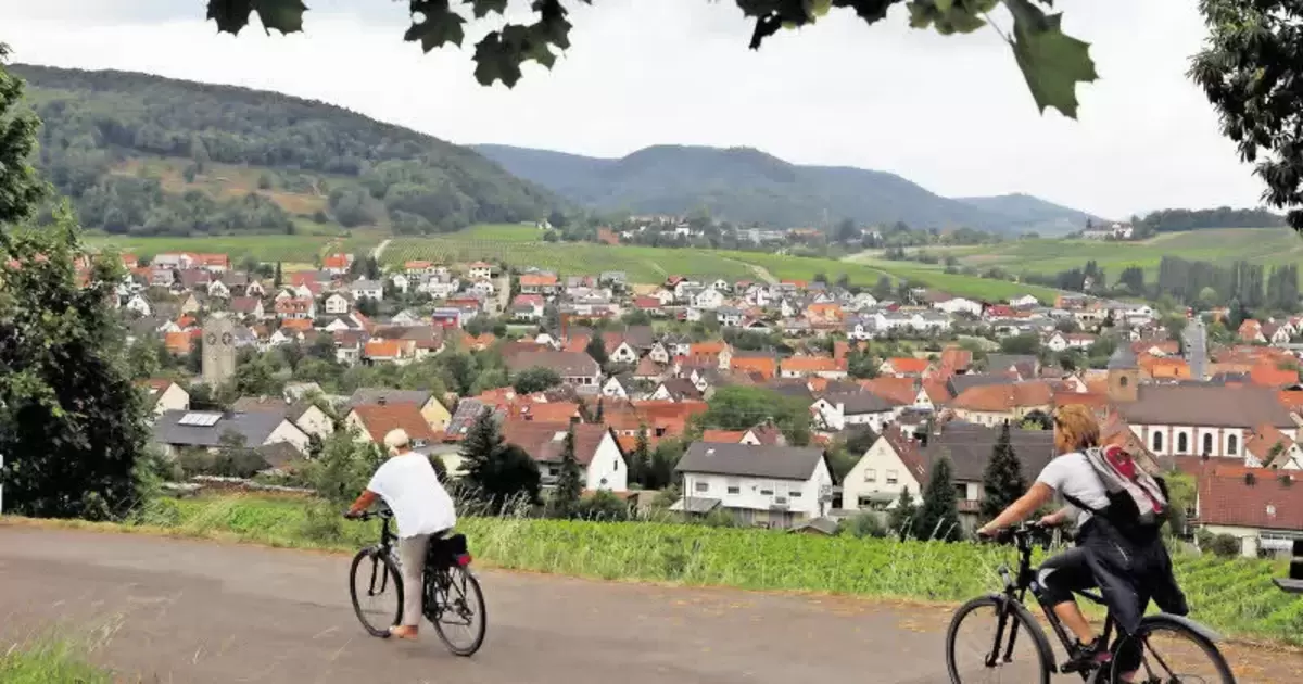 Jetzt Auf Die Internationale Bühne Kreis Südliche Weinstraße Die Rheinpfalz 