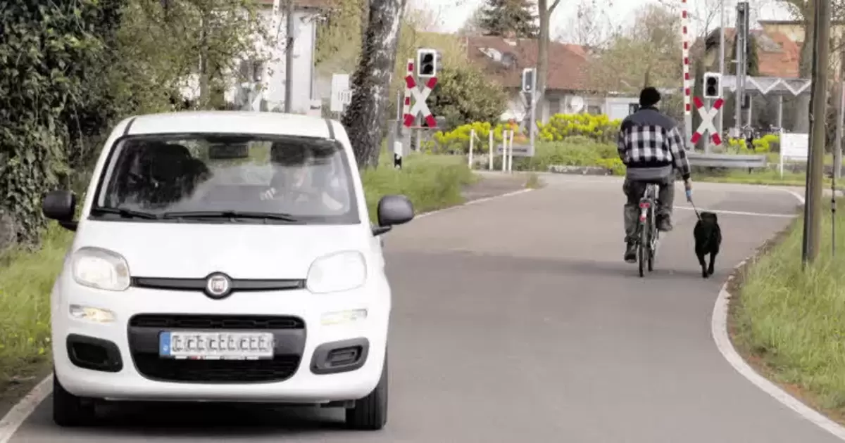 Unendliche Geschichte Kreis Südliche Weinstraße Die Rheinpfalz 