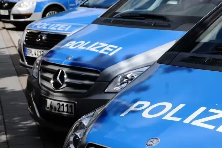 91-95066522_polizei_polizeiauto_foto_merkel.jpg