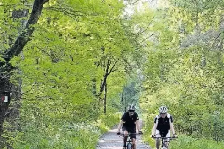 Wanderweg bei Bruchhof.