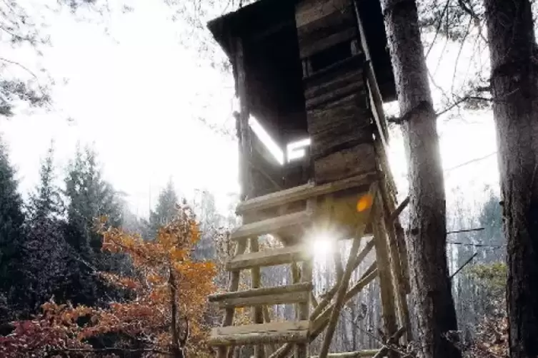 Wer auf dem Hochsitz auf Wild anlegt, sollte seine Schießleistung kontinuierlich trainieren, fordert Markus Müller von der Kreis