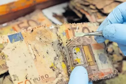Ein Mitarbeiter des Analysezentrums der Bundesbank in Mainz sortiert 50-Euro-Scheine, die in Wasser gelegen haben. Um sie genau 