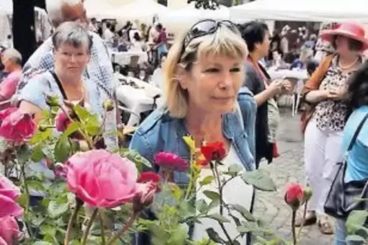 Gefragt waren Tipps für die Pflege von Rosen beim Rosenmarkt im Innenhof des Schlosses.