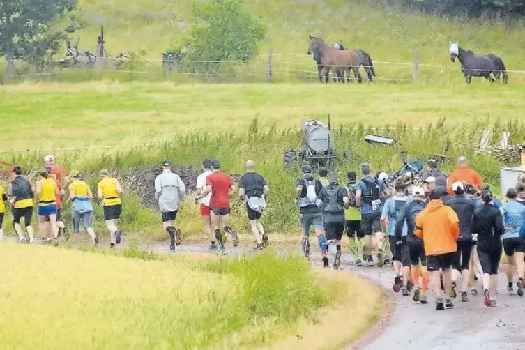 Läufer in der Natur unter vierbeiniger Beobachtung: Rund 100 Sportler haben sich am Samstag von Imsbach aus auf die 39 und 14 Ki