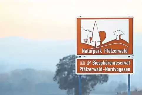 Auch die Entwicklungszonen des Biosphärenreservats Pfälzerwald bleiben nun künftig frei von Windrädern.