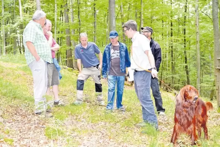 Um Probleme im Wald zu erkennen, lohnt auch mal der Blick nach unten. Revierleiter Stefan Bohrer (rechts) zeigt die deutlichen V