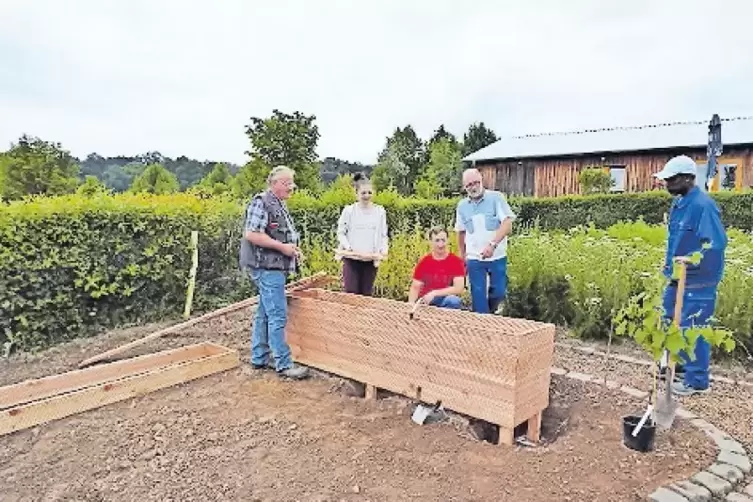 Die Rasenbank nimmt Form auf der Gartenschau an.