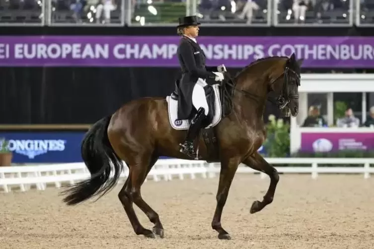 Piaffen zählen zu „Sammys“ Stärken: Dorothee Schneider mit ihrem Wallach bei der EM in Göteborg. Foto : dpa 