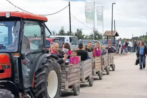 Beim Tag der offenen Höfe gibt es viele Aktionen.