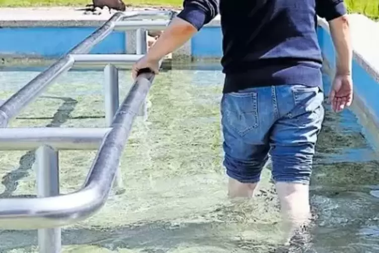 Die Wassertrete im Kurpark soll für rund 20.000 Euro eine Edelstahlverkleidung erhalten.