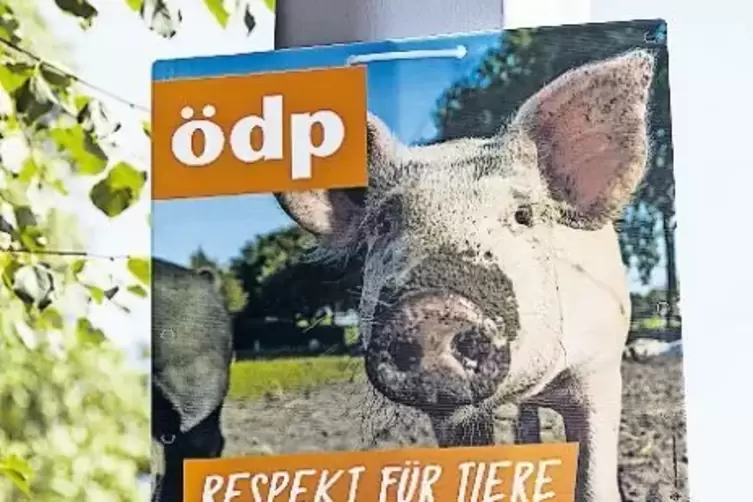 Die ÖDP will ein Verbandsklagerecht im Tierschutz.