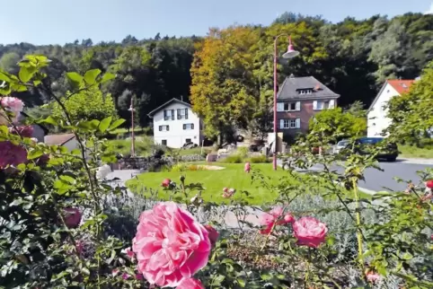 Das Rosenrondell in Lindenberg soll für Hundebesitzer künftig ebenso tabu sein wie der Sportplatz. Der Gemeinderat hat die Verba