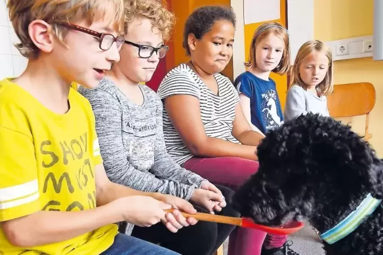 Der Star der Schule: Hund Pino mit (von links) Robert, Jacqueline, Chemeli, Sarah und Paula.