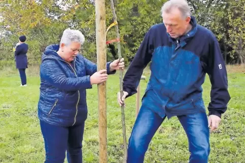 Jacky und Jürgen Diehl haben auf der Streuobstwiese eine „Champagner Bratbirne“ gepflanzt.