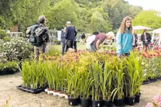 Dass es auch 2018 den Gartenmarkt »Petite Fleur« im Kurpark gibt, darüber freuen sich alle Stadtratsmitglieder. Wie der neue Ver