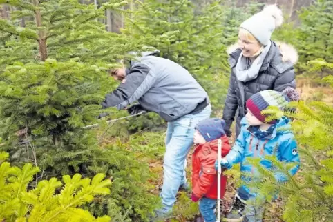 Der ist gut! David Forkel, Mila, Noah und Jessica Albert haben den geeigneten Weihnachtsbaum gefunden.