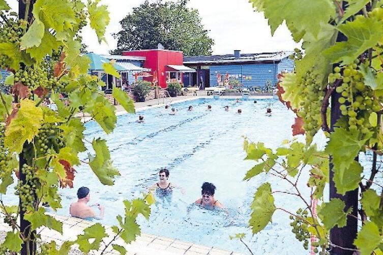 Neuer Betreiber Für Schwimmbad-Kiosk - Neustadt - DIE RHEINPFALZ