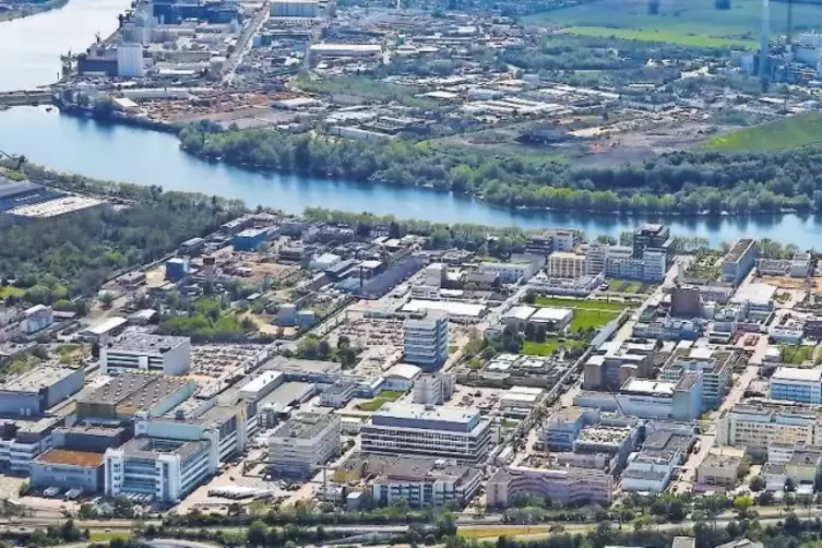 Roche zählt fast 8200 Beschäftigte in Mannheim.