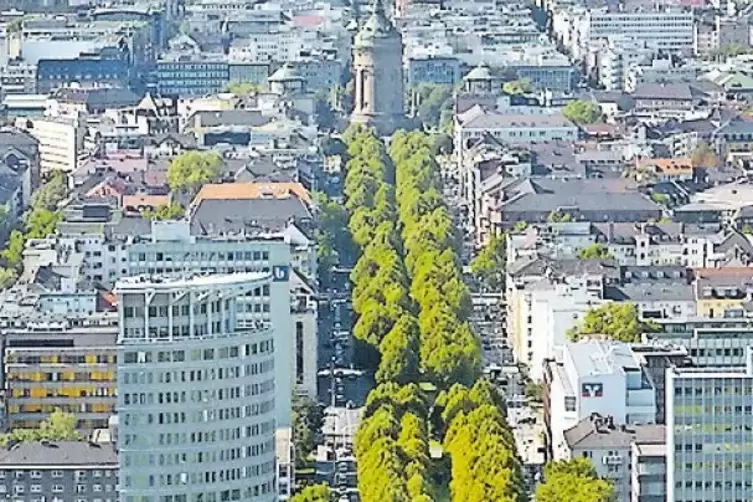 Die Planetenallee soll sich vom Planetarium bis zum Wasserturm ziehen.