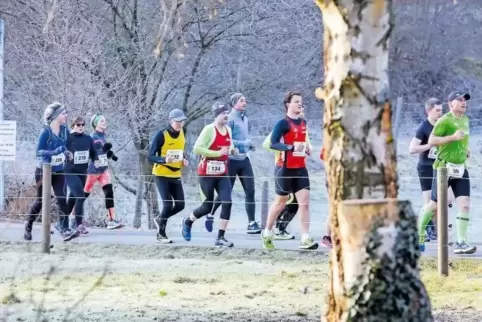 Bäume und Teer: Die Läufer kommen am Bremerhof an.