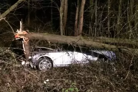 Der Fahrer blieb nahezu unverletzt – sein Wagen wurde von Bäumen und Büschen fast komplett verdeckt. Foto: SCHLEMMER
