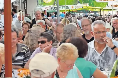 VG Hagenbach und VG Rülzheim wollen bei größeren Festen enger zusammen arbeiten.