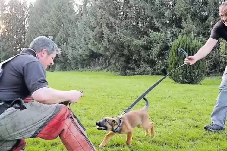 Ingo Simon (rechts) und Daniel Fetzer mit Sansa, der vielleicht einmal bei der Polizei arbeiten wird.