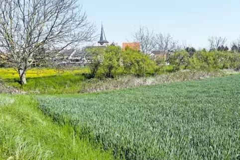 Nach neuen Erkenntnissen gibt es nur eine „marginale Überschwemmungsgefahr“ im künftigen Baugebiet Hornungsfleck. Bevor es losge