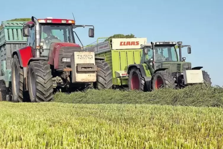 Lukas Guhl und ein Freund der Familie nehmen mit den Ladewagen die Grasschwaden auf.