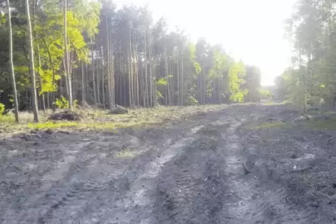 Die Gesamtkosten für die Herstellung der Rehbach-Trasse liegen laut Ihlenfeld „absolut im Rahmen“.