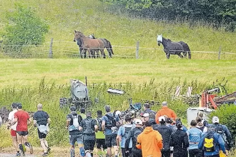 Natur pur erwartet die Trail-Läufer am 2. Juni.