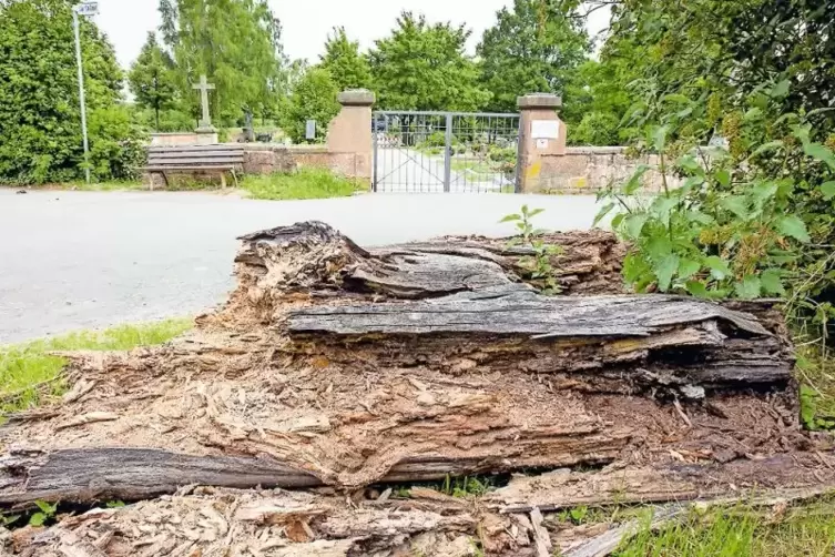 Soll frühere Parkplätze versperren, fällt aber auseinander und sieht nicht mehr schön aus: Baumstamm am Morlauterer Friedhof.