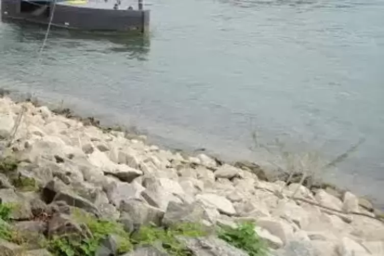 Das Schiff war auf dem Weg von Koblenz nach Speyer. Archivfoto: Landry