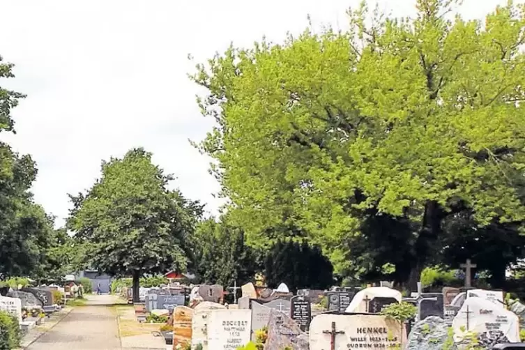 Der Friedhof in Hanhofen: Mit seinem gegenwärtigen Zustand ist die CDU-Fraktion unzufrieden.